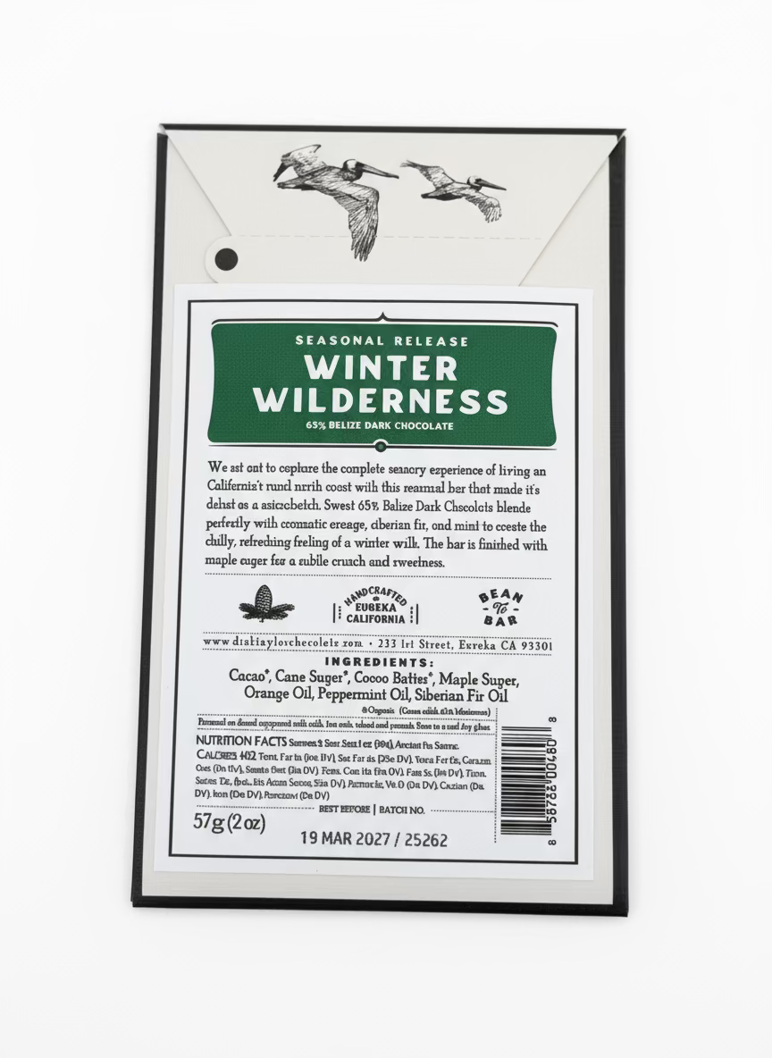 Dick Taylor Winter Wilderness